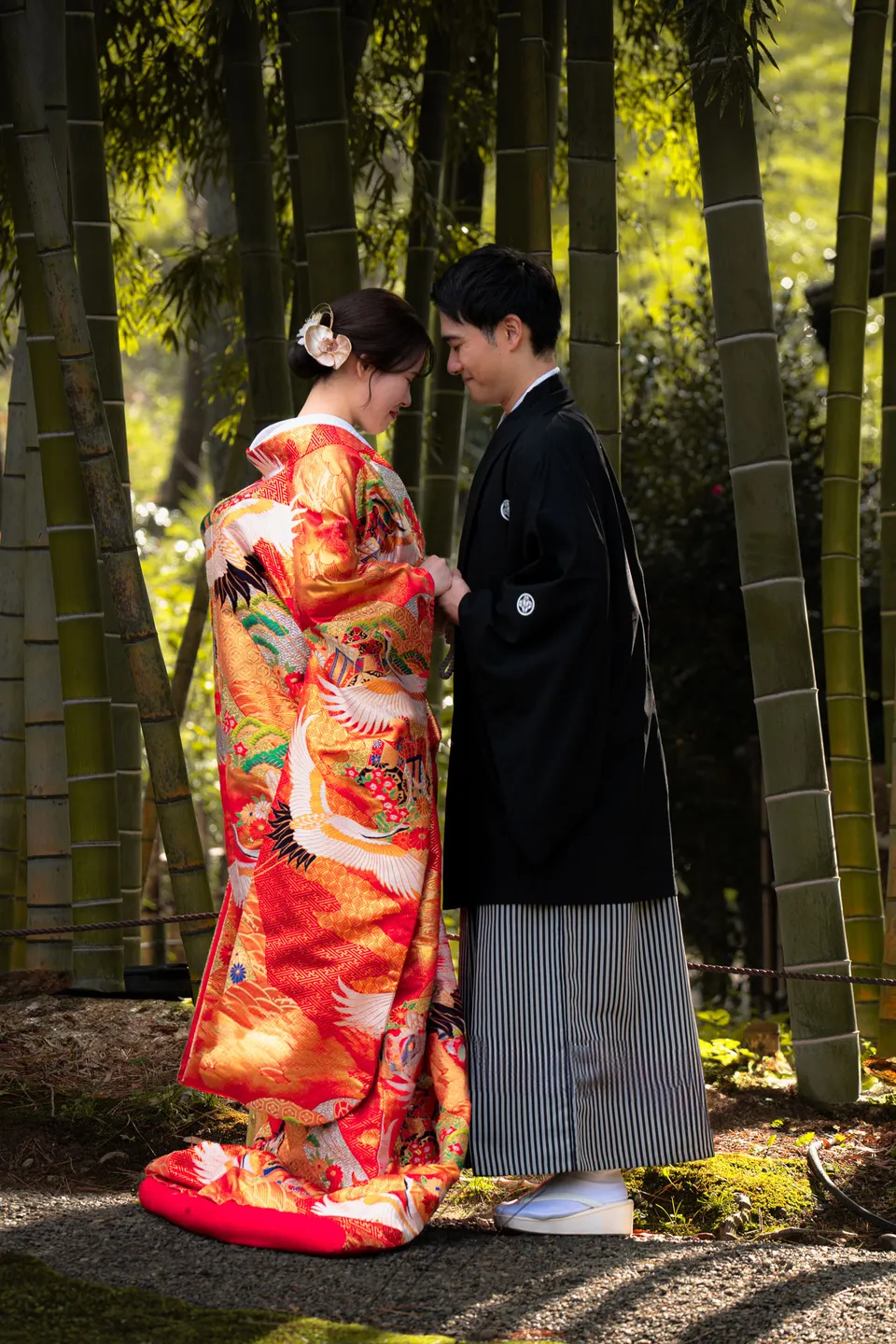 Bamboo, Yokohama, Japan