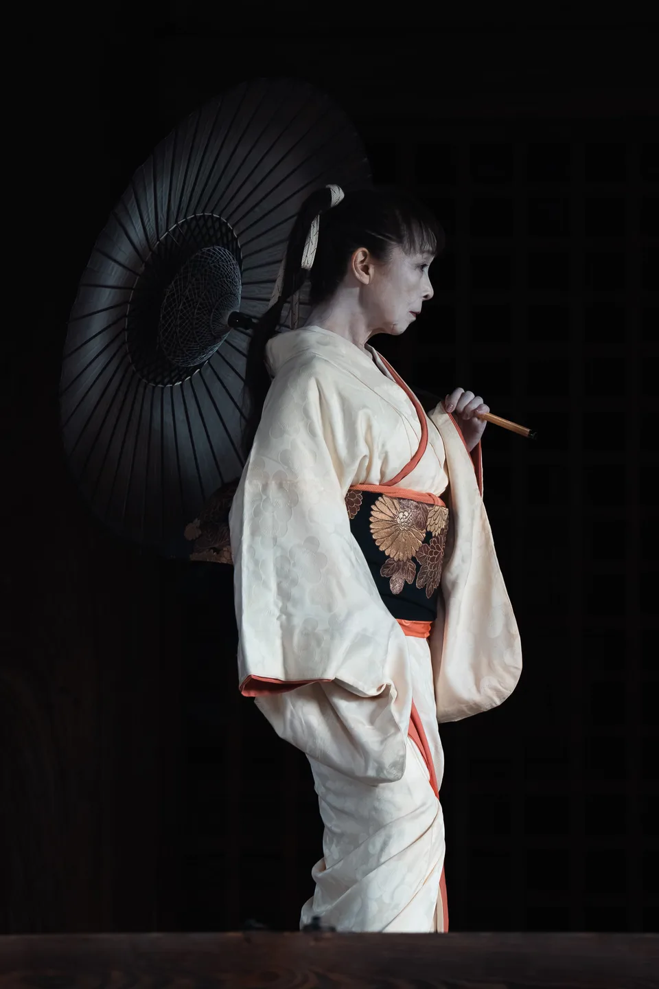 The Parasol, Kyoto, Japan