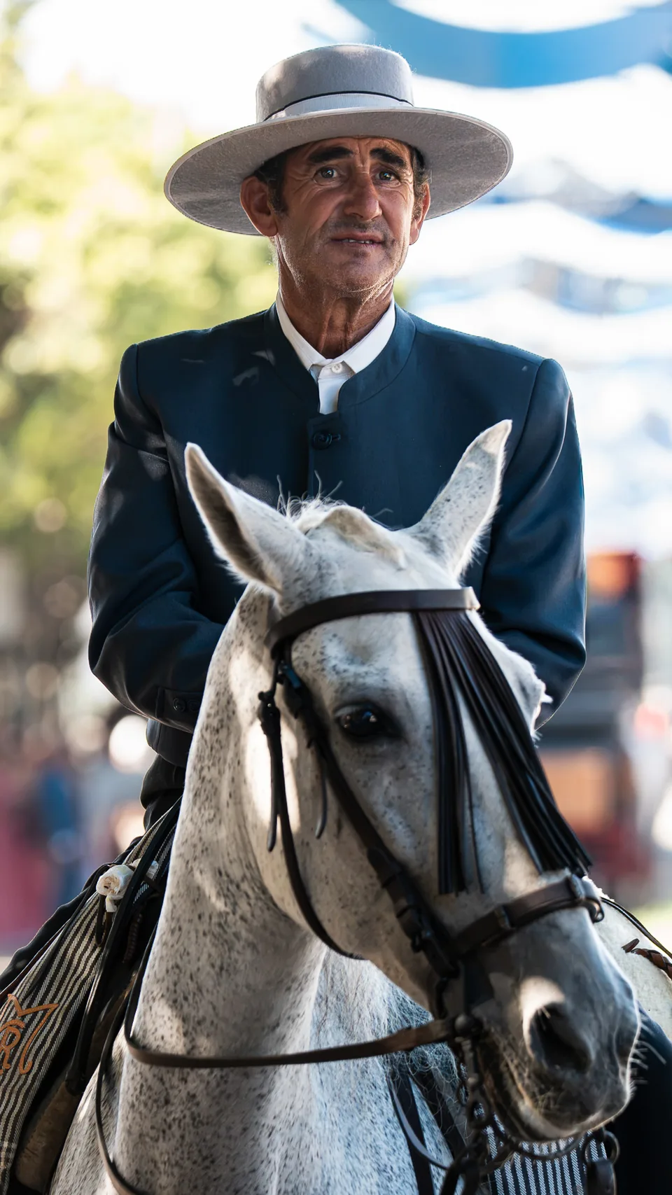 The Rider
